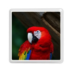 Scarlet Macaw Bird Memory Card Reader (square)  by BangZart