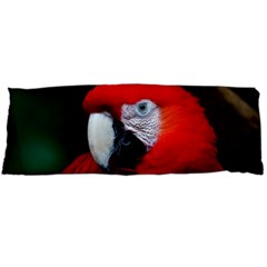 Scarlet Macaw Bird Body Pillow Case (dakimakura) by BangZart