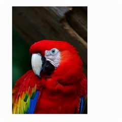 Scarlet Macaw Bird Large Garden Flag (two Sides) by BangZart