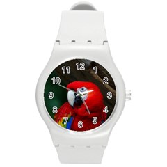 Scarlet Macaw Bird Round Plastic Sport Watch (m) by BangZart