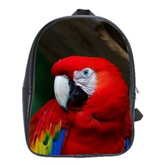 Scarlet Macaw Bird School Bags (xl)  by BangZart