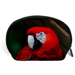 Scarlet Macaw Bird Accessory Pouches (large)  by BangZart