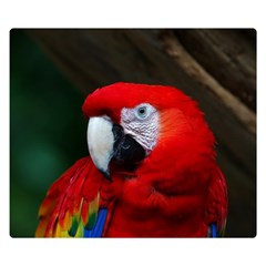 Scarlet Macaw Bird Double Sided Flano Blanket (small)  by BangZart