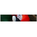 Scarlet Macaw Bird Flano Scarf (Large) Front