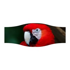 Scarlet Macaw Bird Stretchable Headband by BangZart