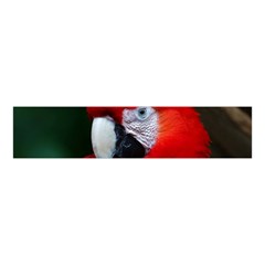 Scarlet Macaw Bird Velvet Scrunchie