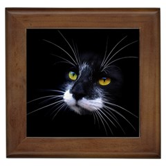 Face Black Cat Framed Tiles by BangZart