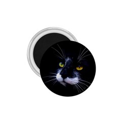 Face Black Cat 1 75  Magnets by BangZart