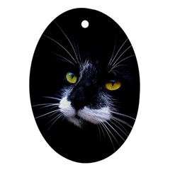 Face Black Cat Ornament (oval) by BangZart