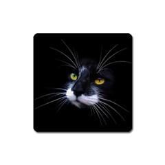 Face Black Cat Square Magnet