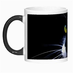 Face Black Cat Morph Mugs by BangZart