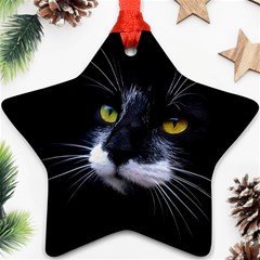 Face Black Cat Star Ornament (two Sides) by BangZart