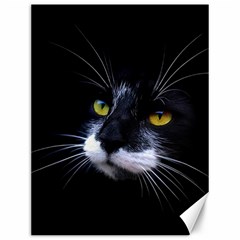 Face Black Cat Canvas 12  X 16   by BangZart