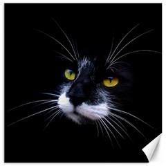 Face Black Cat Canvas 20  X 20   by BangZart