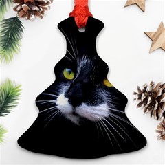 Face Black Cat Ornament (christmas Tree)  by BangZart