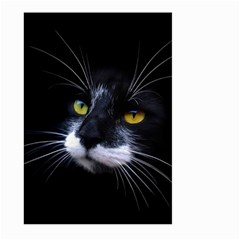 Face Black Cat Large Garden Flag (two Sides) by BangZart