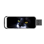 Face Black Cat Portable USB Flash (Two Sides) Front