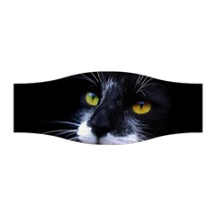 Face Black Cat Stretchable Headband by BangZart