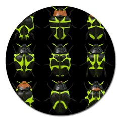 Beetles Insects Bugs Magnet 5  (round) by BangZart