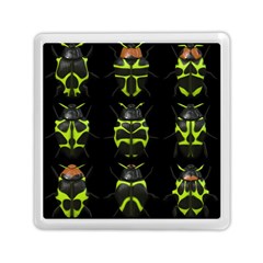 Beetles Insects Bugs Memory Card Reader (square)  by BangZart