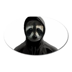 Gangsta Raccoon  Oval Magnet by Valentinaart