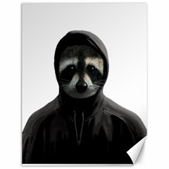 Gangsta Raccoon  Canvas 12  X 16   by Valentinaart