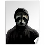 Gangsta raccoon  Canvas 12  x 16   11.86 x15.41  Canvas - 1