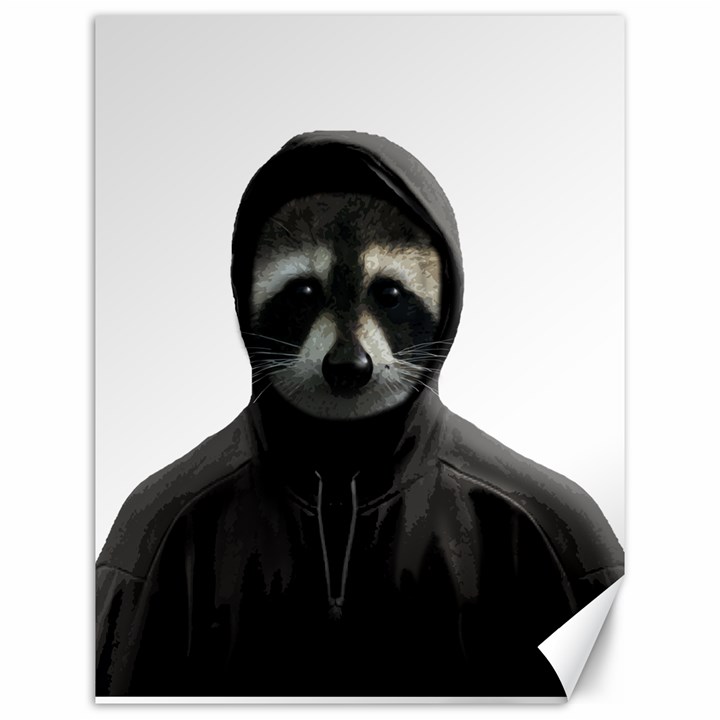 Gangsta raccoon  Canvas 12  x 16  