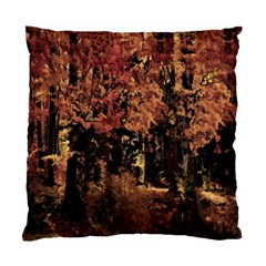 Landscape Standard Cushion Case (two Sides) by Valentinaart