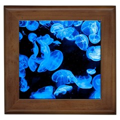 Jellyfish  Framed Tiles by Valentinaart