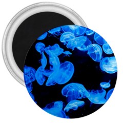 Jellyfish  3  Magnets by Valentinaart