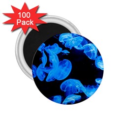 Jellyfish  2 25  Magnets (100 Pack)  by Valentinaart