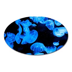 Jellyfish  Oval Magnet by Valentinaart