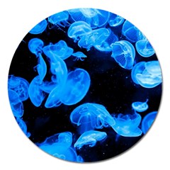 Jellyfish  Magnet 5  (round) by Valentinaart