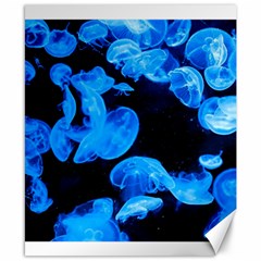 Jellyfish  Canvas 8  X 10  by Valentinaart