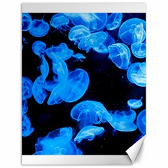 Jellyfish  Canvas 18  X 24   by Valentinaart