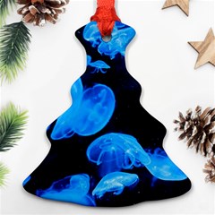 Jellyfish  Ornament (christmas Tree)  by Valentinaart