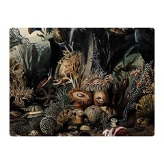 Underwater Double Sided Flano Blanket (Mini) 