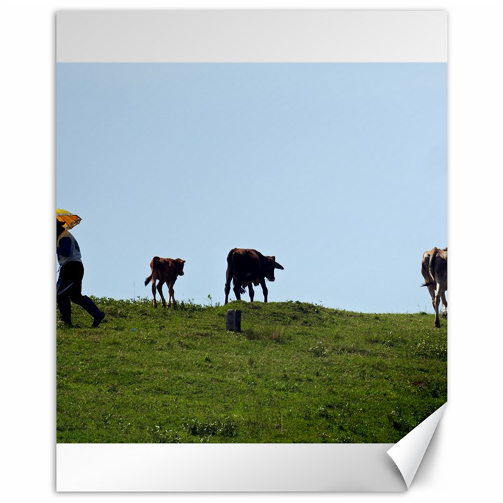 Cowherd with yellow umbrella Canvas 11  x 14  (Unframed)