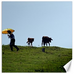 Cowherd With Yellow Umbrella Canvas 12  X 12  (unframed)