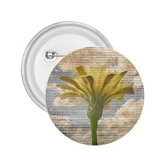 Shabby Chic Style Flower Over Blue Sky Photo  2 25  Buttons by dflcprints