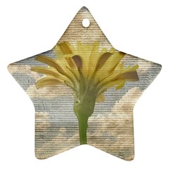 Shabby Chic Style Flower Over Blue Sky Photo  Ornament (star) by dflcprints