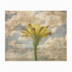 Shabby Chic Style Flower Over Blue Sky Photo  Small Glasses Cloth by dflcprints