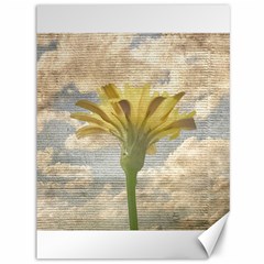 Shabby Chic Style Flower Over Blue Sky Photo  Canvas 36  X 48   by dflcprints