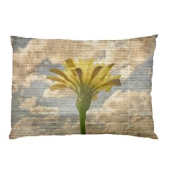 Shabby Chic Style Flower Over Blue Sky Photo  Pillow Case by dflcprints