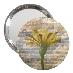 Shabby Chic Style Flower Over Blue Sky Photo  3  Handbag Mirrors by dflcprints