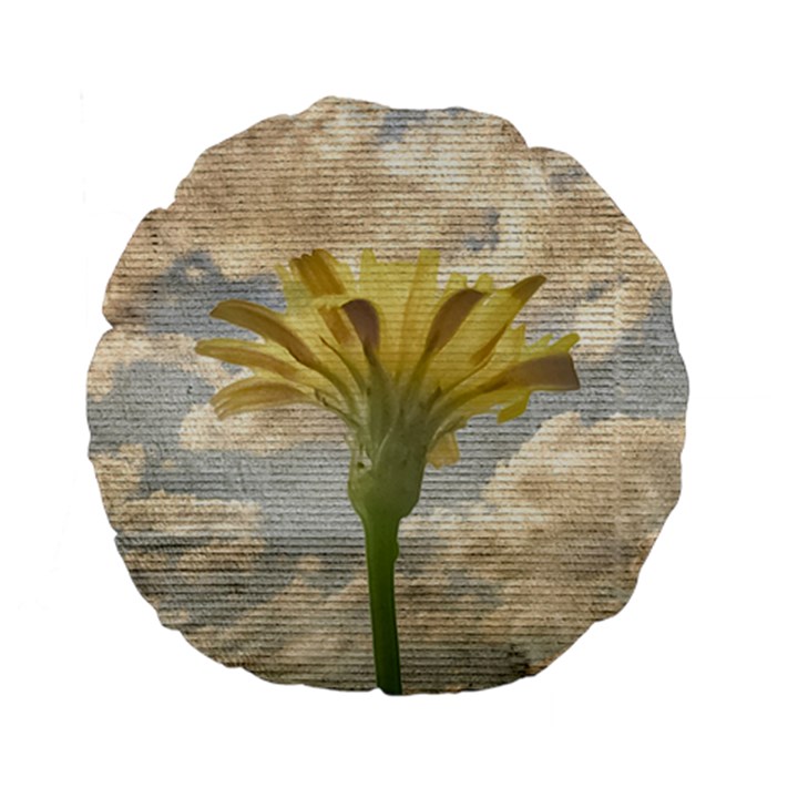 Shabby Chic Style Flower Over Blue Sky Photo  Standard 15  Premium Flano Round Cushions