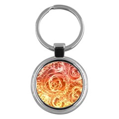 2017 01 18 23 50 44 000 Key Chains (round)  by Artophrenia