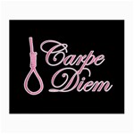 Carpe Diem  Small Glasses Cloth Front