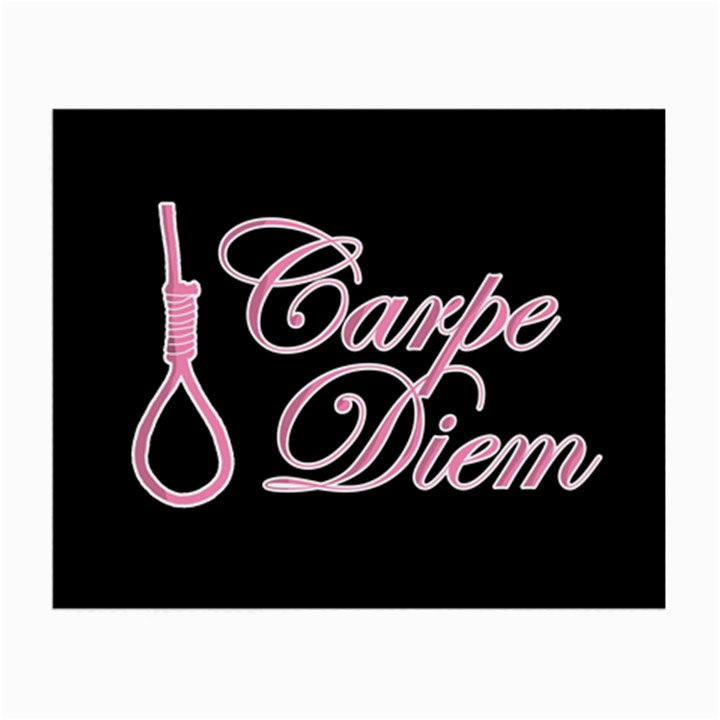 Carpe Diem  Small Glasses Cloth